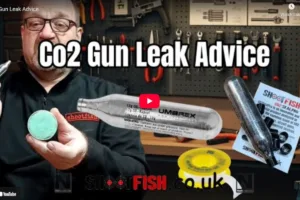 co2 leak advice