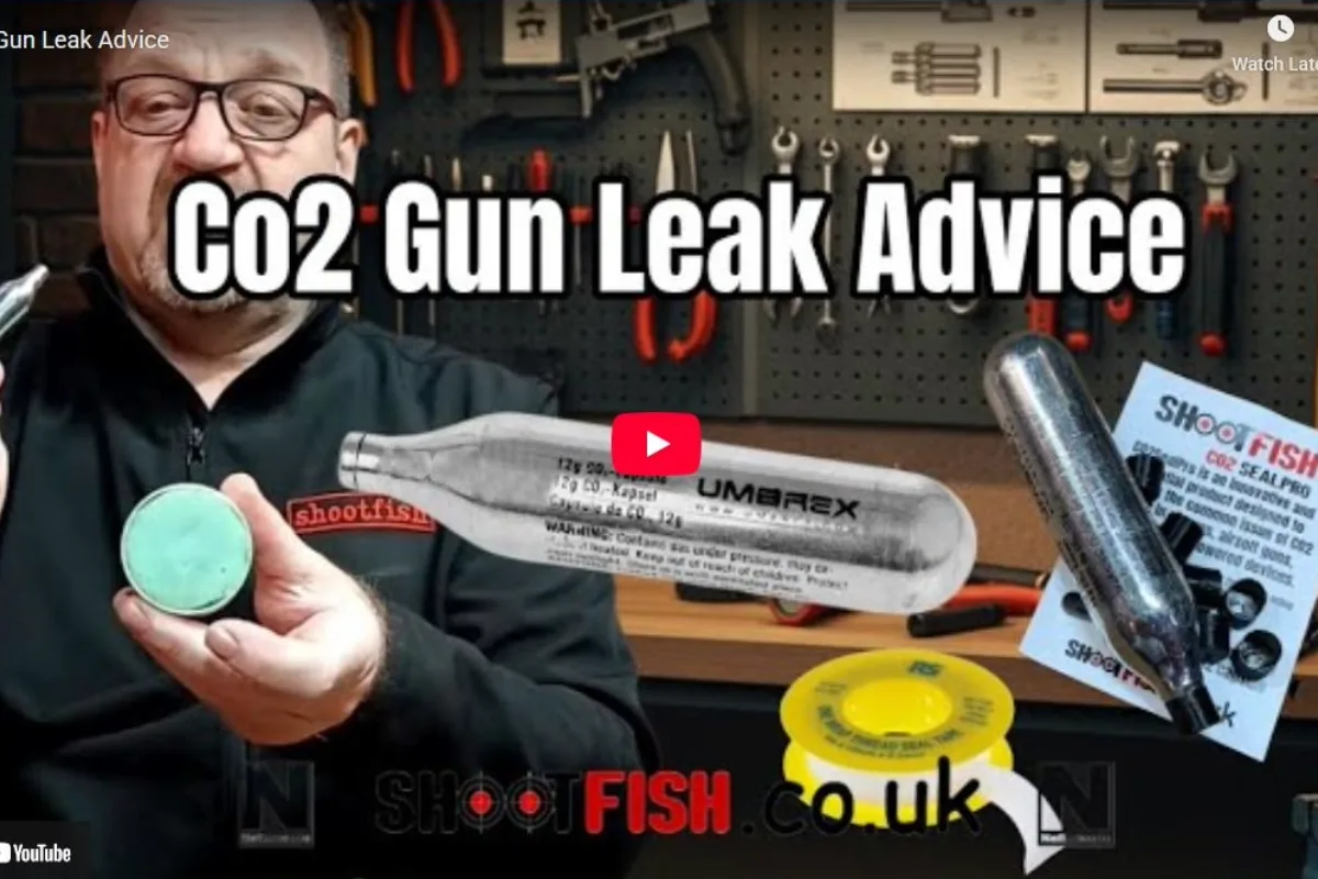co2 leak advice